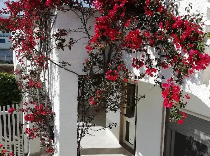 Buganville Torre Lapillo