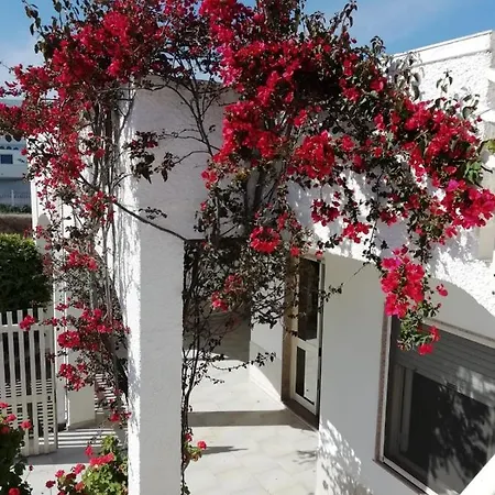 Buganville Torre Lapillo